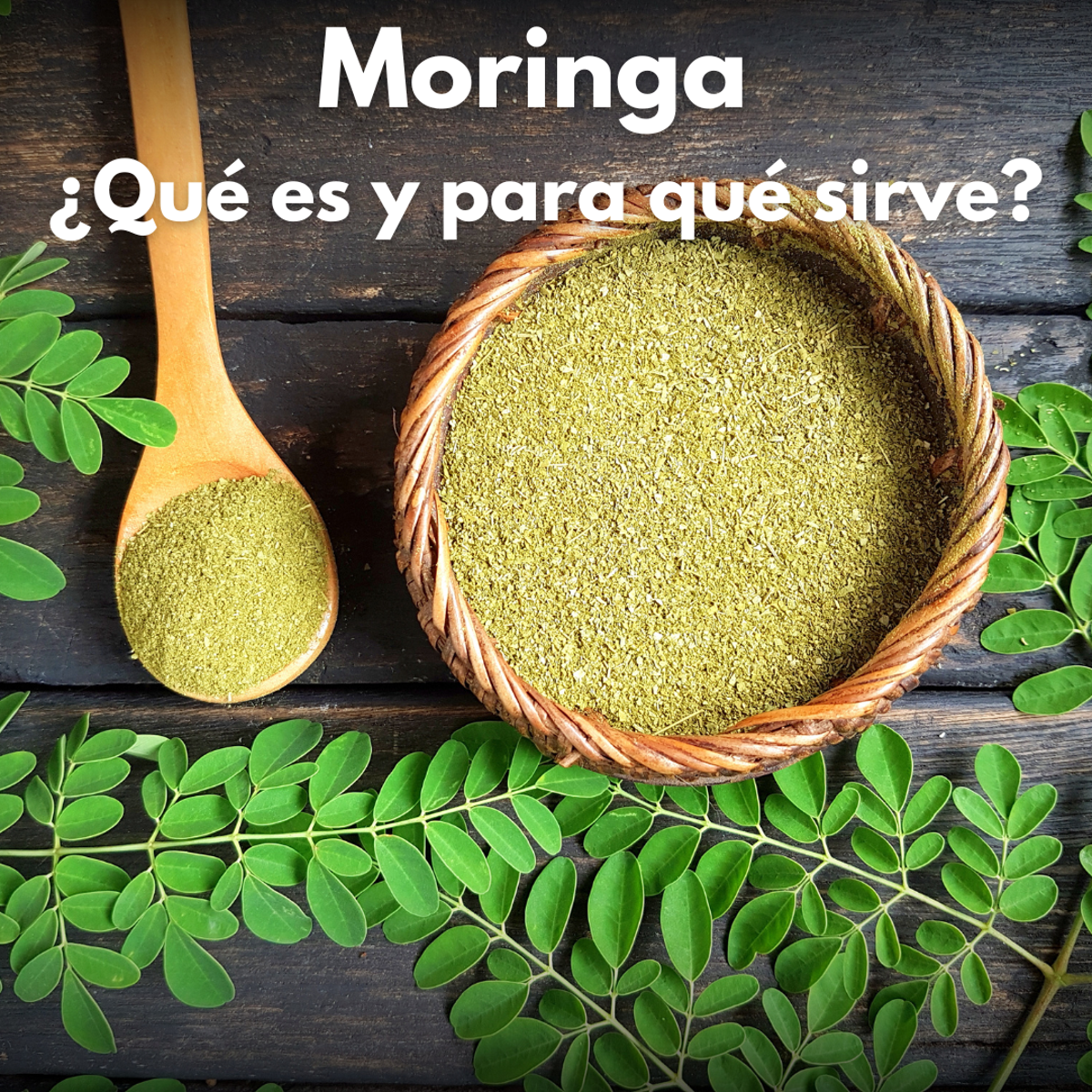 La moringa y sus propiedades curativas